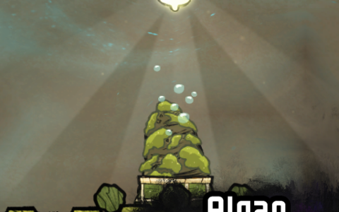 Algae Grower