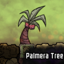 Palmera Tree