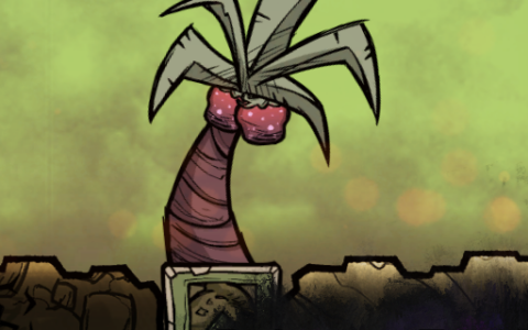 Palmera Tree