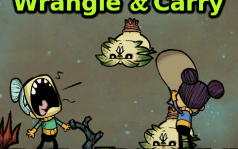 Wrangle & Carry