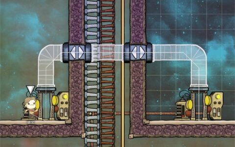 Travel Tube Crossing Ladder