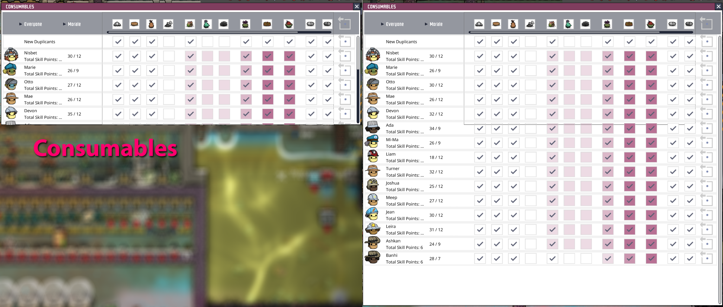 Resize Dup UI — screenshot 2