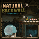 Natural Backwall