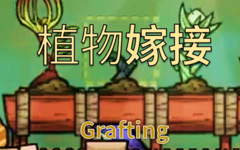 植物嫁接（Grafting）