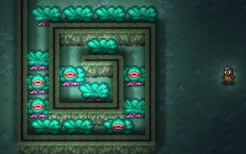Escape the maze