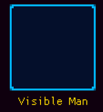 Visible Man (ECTD)