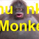 Chunke Monke