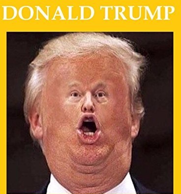 Donald Trump — screenshot 1