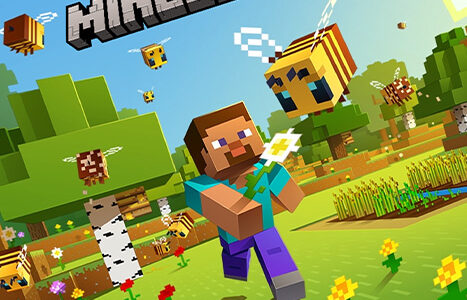 Steve Mod