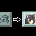 Kyaru Reskin The Silent