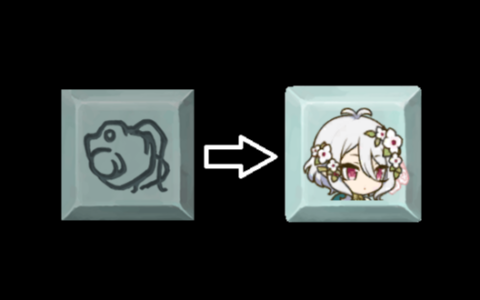 Kokkoro Reskin Defect