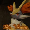 The Vixen