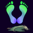 Barefoot Silent
