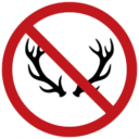 No Horns or Demons