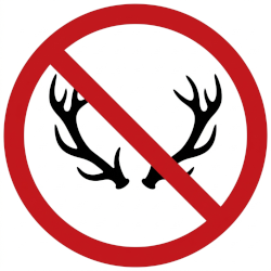 No Horns or Demons