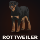 CD: Rottweiler