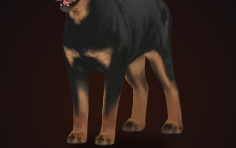 CD: Rottweiler