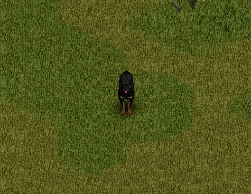 CD: Rottweiler — screenshot 1
