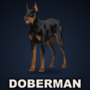CD: Doberman