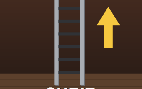 Climb Ladders [B42SP & MP]