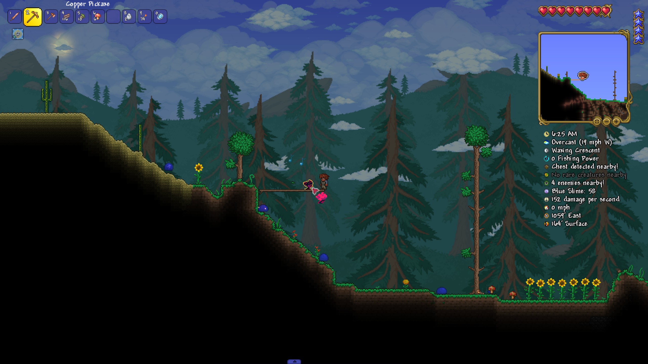 Well, there is a terrarian here. — screenshot 2