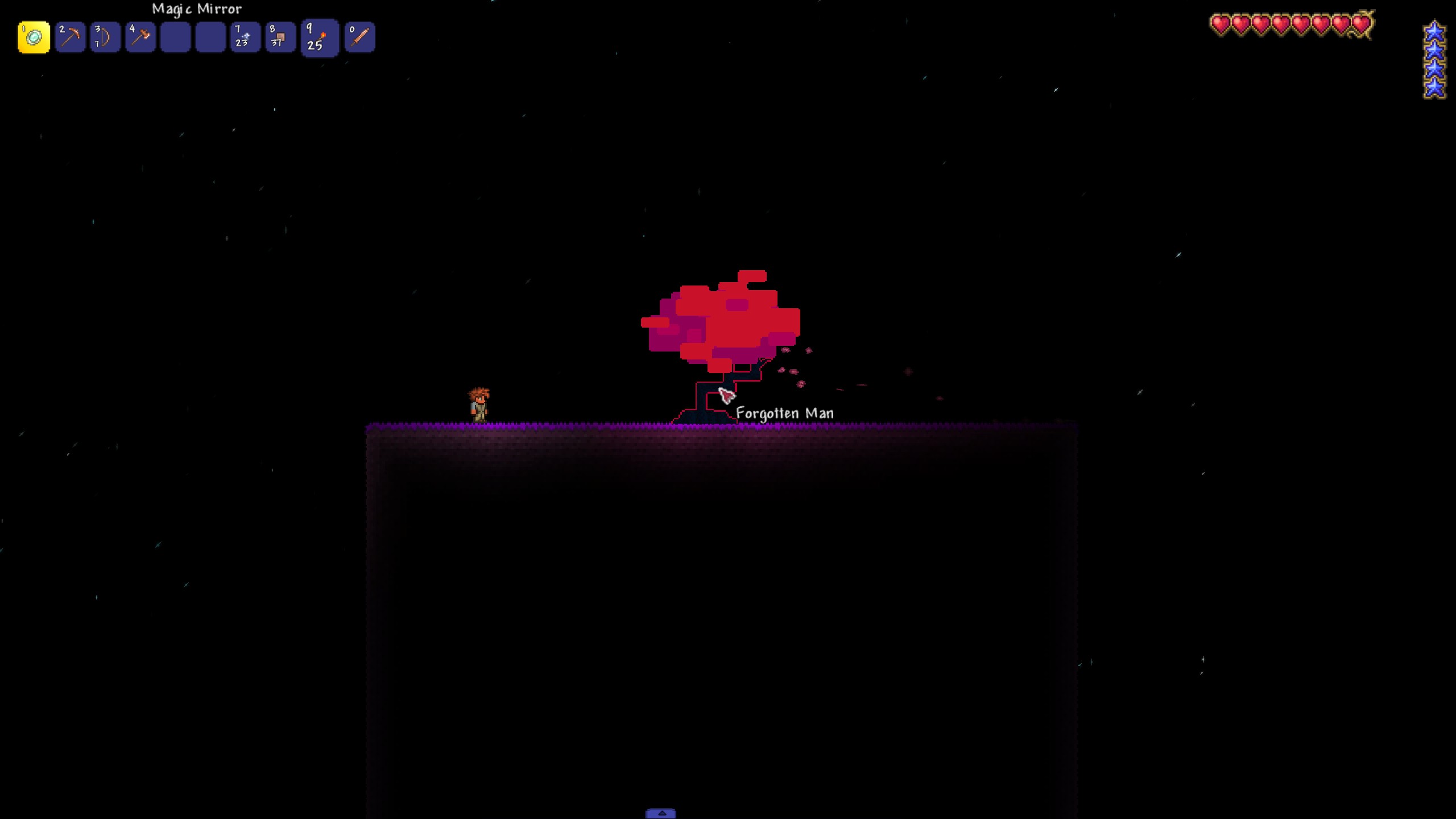 Well, there is a terrarian here. — screenshot 1