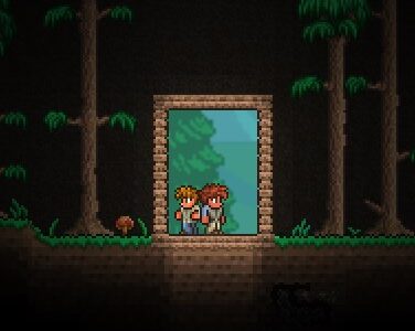 Spider World