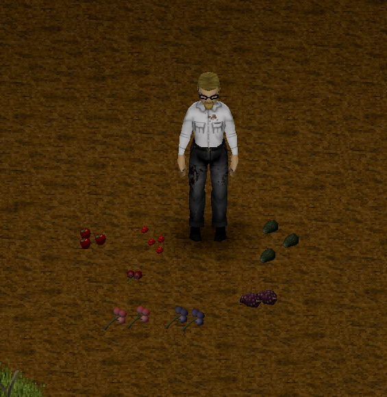 Wild Fruits — screenshot 3