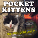 Pocket Kittens