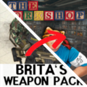 Brita-Workshop Compatibility Patch