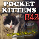 Pocket Kittens (B42) [42.13]