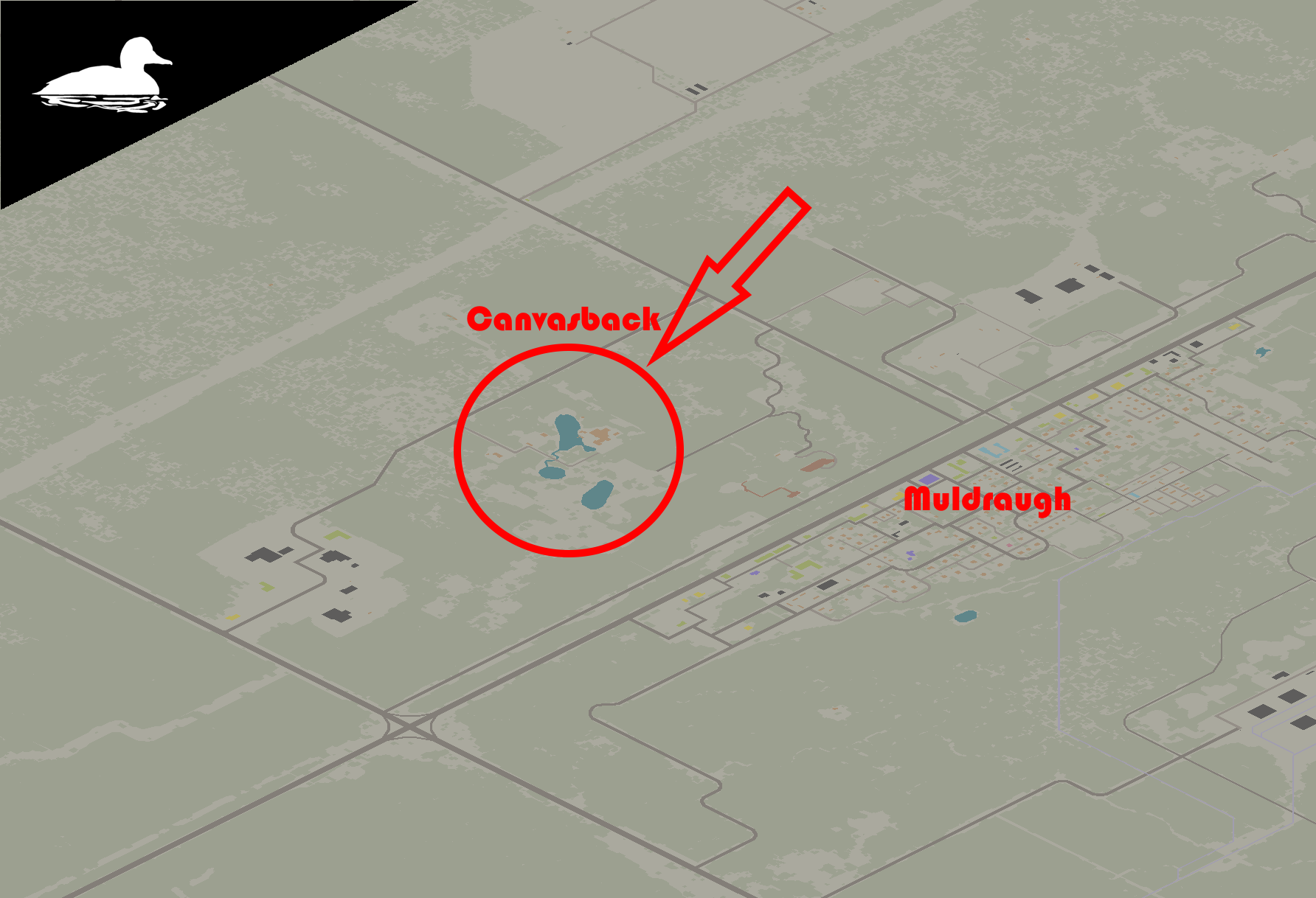 Canvasback Studios — screenshot 7