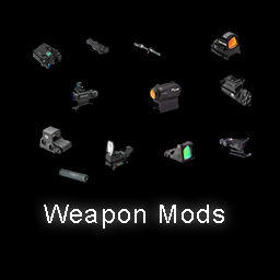 Weapon Mods
