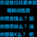 萌新训练营（你想变强么？）