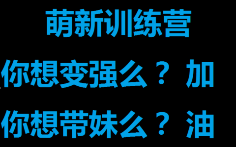 萌新训练营（你想变强么？）