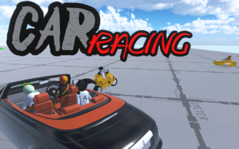 자동차 경주 car racing