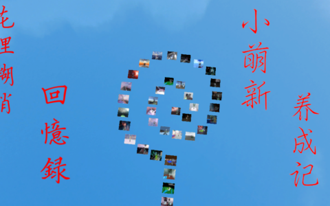 花哩糊哨回忆录–小萌新养成记