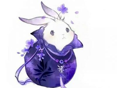 超可爱的兔子(微自闭)