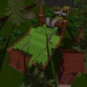Cozy Conifers
