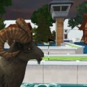 Easy but not easy (HOLE-IN-ONE possible)
