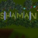 Shaman Mayhem