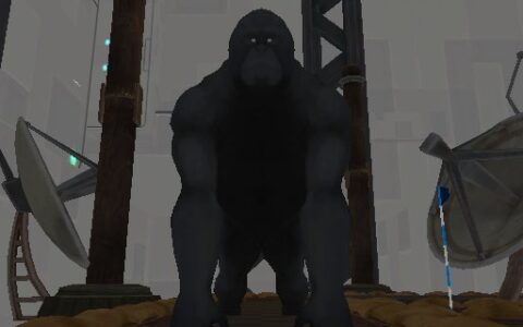Monkey Training Facility