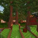 hole in ones