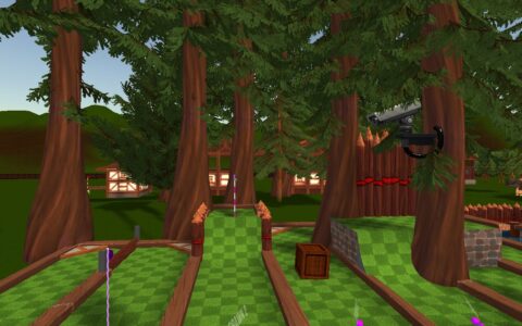 hole in ones