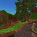 Hole in one Forest!