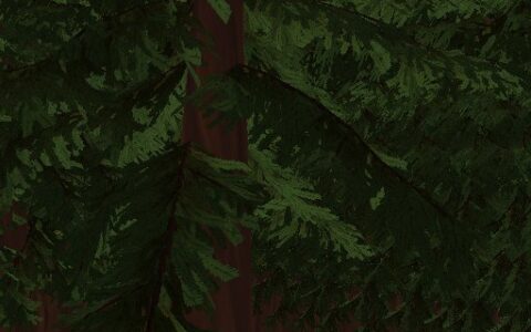 The dense forest pt 1