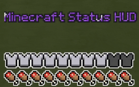 Minecraft Status Bar