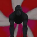 Monkeys and that 8
