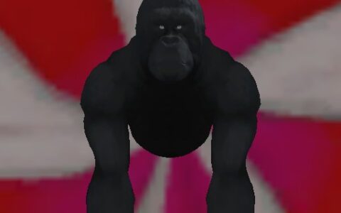 Monkeys and that 8