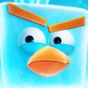 ice bird